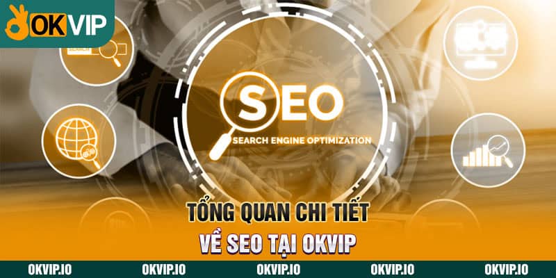 Tổng quan chi tiết về SEO tại OKVIP