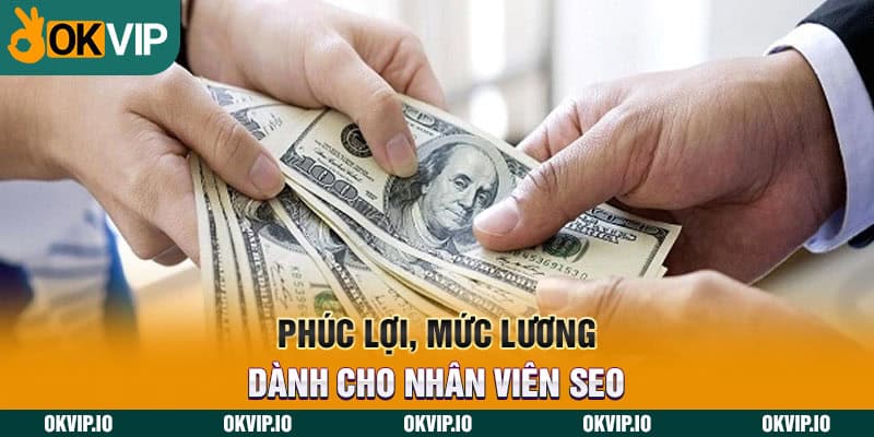 Phúc lợi, mức lương dành cho nhân viên SEO