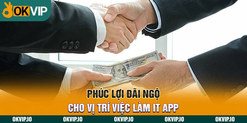 Phúc lợi đãi ngộ cho vị trí việc làm IT App