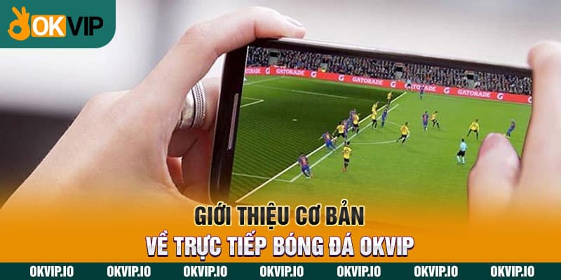 Giới thiệu cơ bản về trực tiếp bóng đá OKVIP