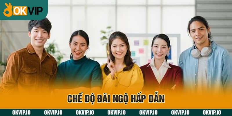 Chế độ đãi ngộ hấp dẫn